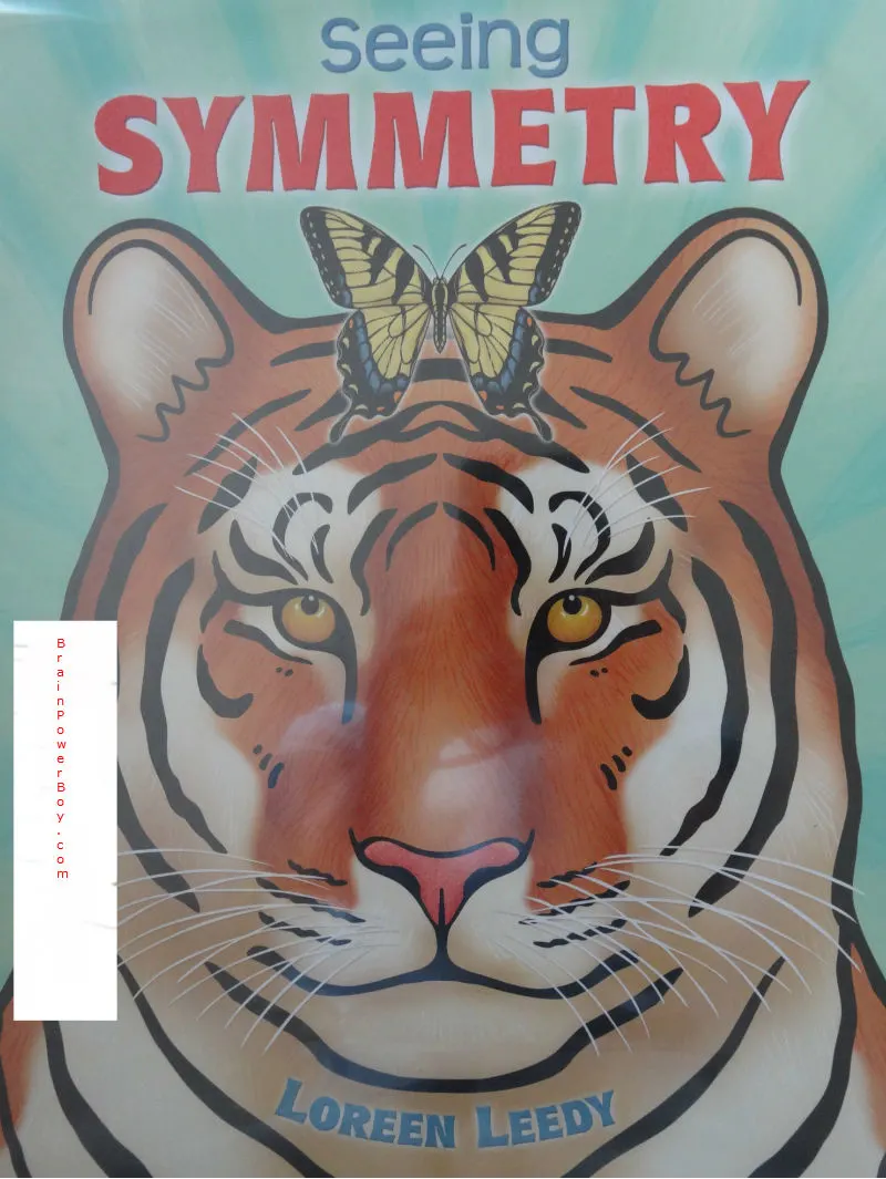 Seeing Symmetry book review | BrainPowerBoy