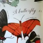 A Butterfly is Quiet Book Inside Page