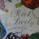 A Rock Is Lively Book Cover