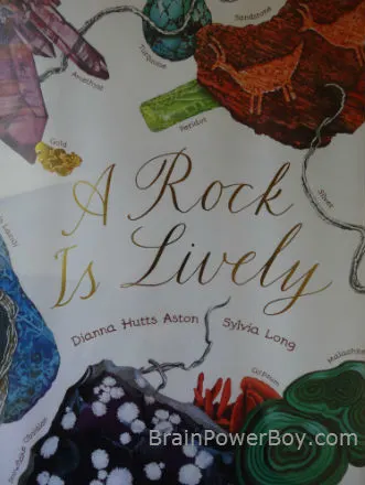 A Rock Is Lively Book Cover