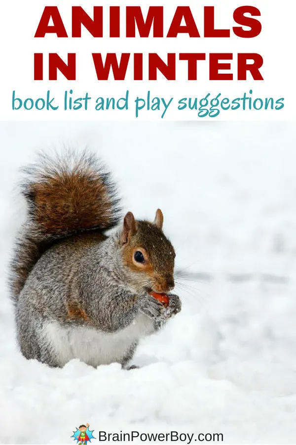 Animals in Winter Books and Play Ideas for Kids