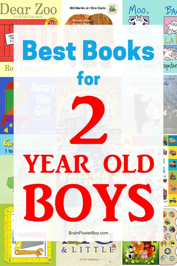 Need books for boys age 2? We found fiction, non-fiction and concept books they will absolutely love. See this book list featuring the best books for 2 year old boys now.
