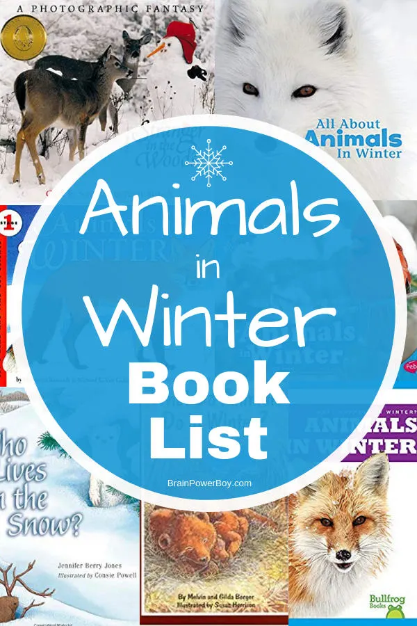 Animals in Winter Books and Play Ideas