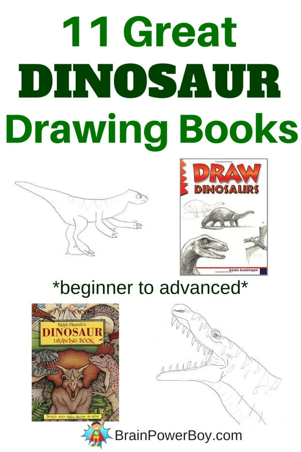 The very best dinosaur drawing books. 11 different books sure to please your dinosaur artist.