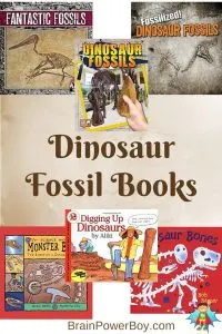 Best Books for Boys: Dinosaur Fossils