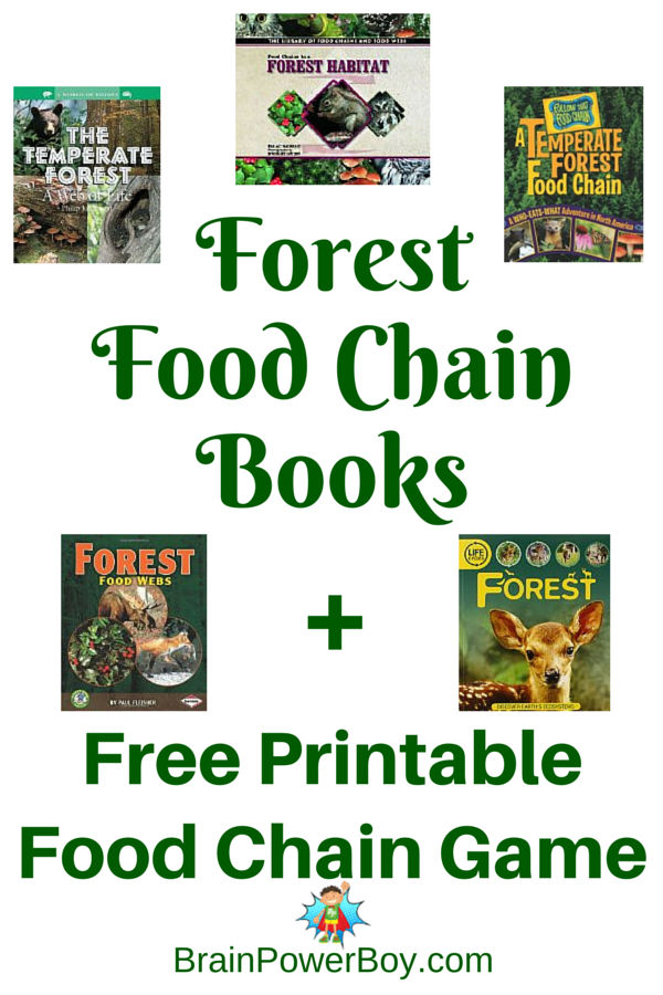 forest food chain