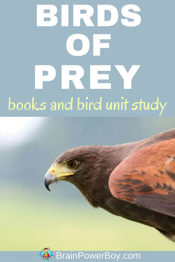 The very best Birds of Prey Books are found in this list! Includes bird unit study too. Click to read.