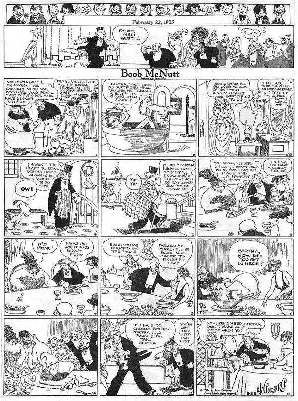 Boob Mcnutt Comic strip by Rube Goldberg Feb 22 1925