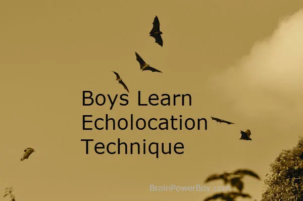 Boys Learn Echolocation Technique