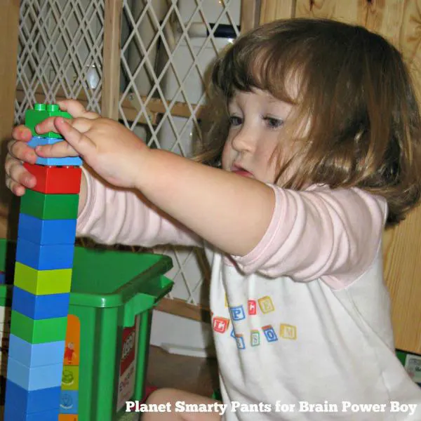 Should you buy DUPLO Bricks for toddlers and preschoolers?