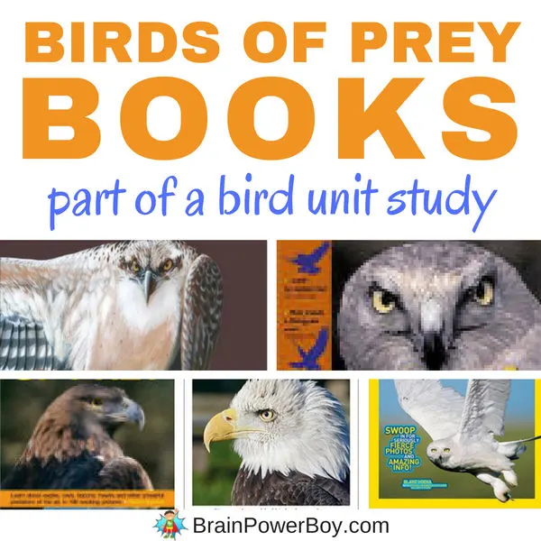 Don't miss this list of bird of prey books. We picked the very best titles to help your learn all about these magestic birds. Click to get the details and to see the unit study on birds as well.