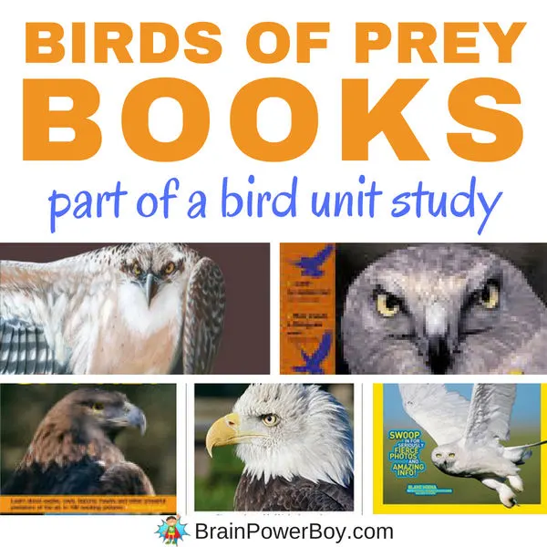 Birds of Prey Books - Brain Power Family