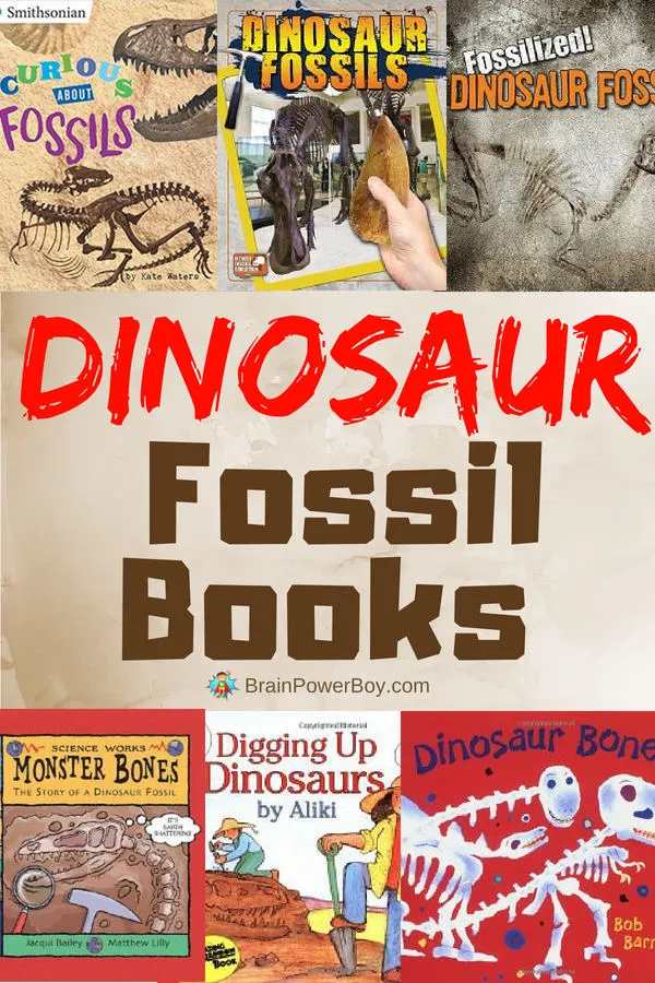 The best books on dinosaur fossils!