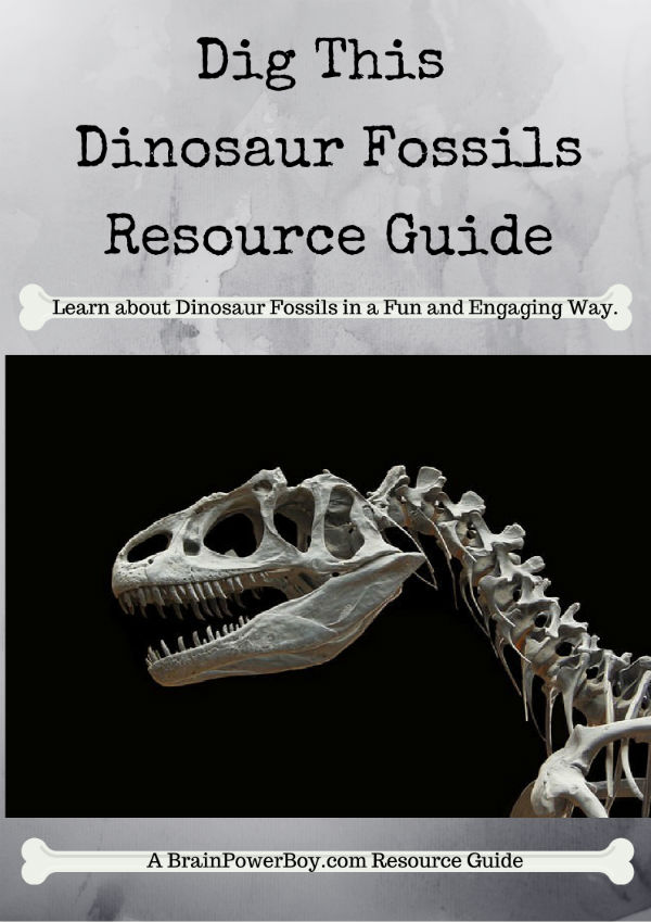 Homeschool Unit Study: Dinosaur Fossils Unit Study with games, videos, art, toys, books, activities and more.