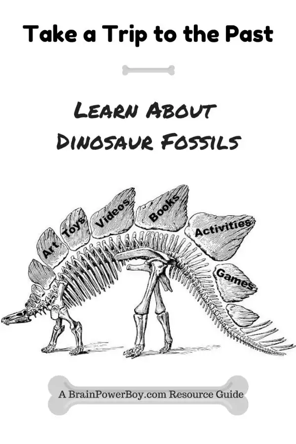 Dinosaur Fossils Unit Study with games, videos, art, toys, books, activities and more.
