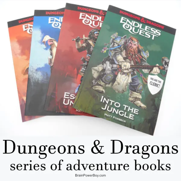 New Dungeons & Dragons Fantasy series to read! They are like a choose your own adventure book D&D style.