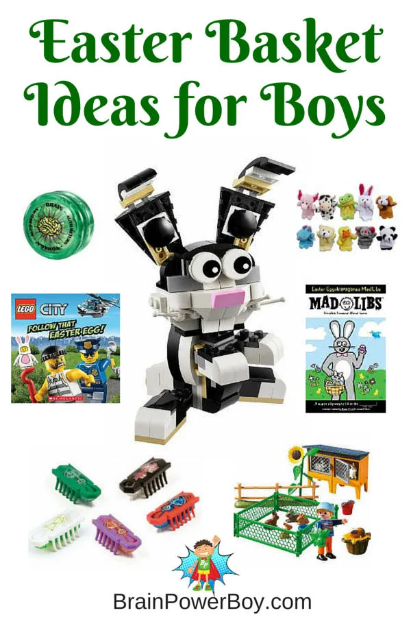 Need an Easter Basket Gift for a special boy in your life? Get Great Easter Basket Ideas for Boys that they will be excited to get. There are a lot of neat selections including many more than those shown on the image. Click to see them all. 