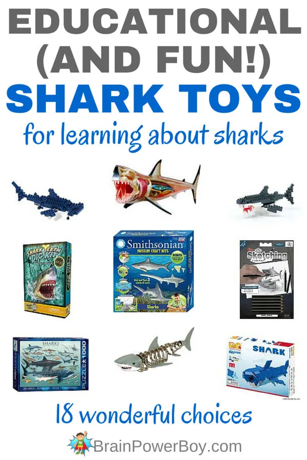 Educational shark toys new arrivals