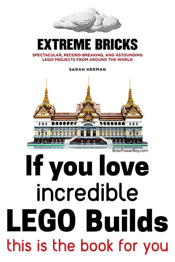 Extreme Bricks Book Review