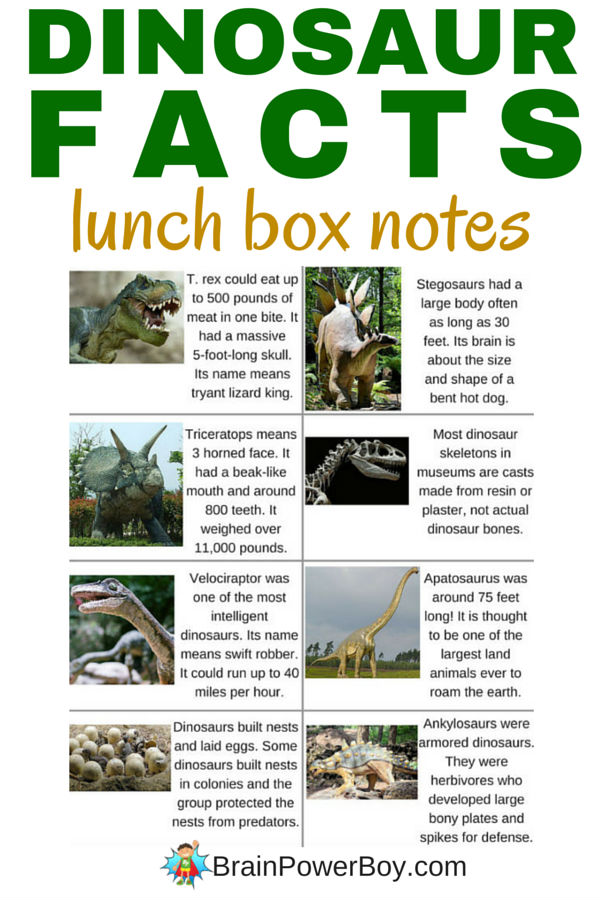 Dinosaur School Lunch - Family Fun Journal