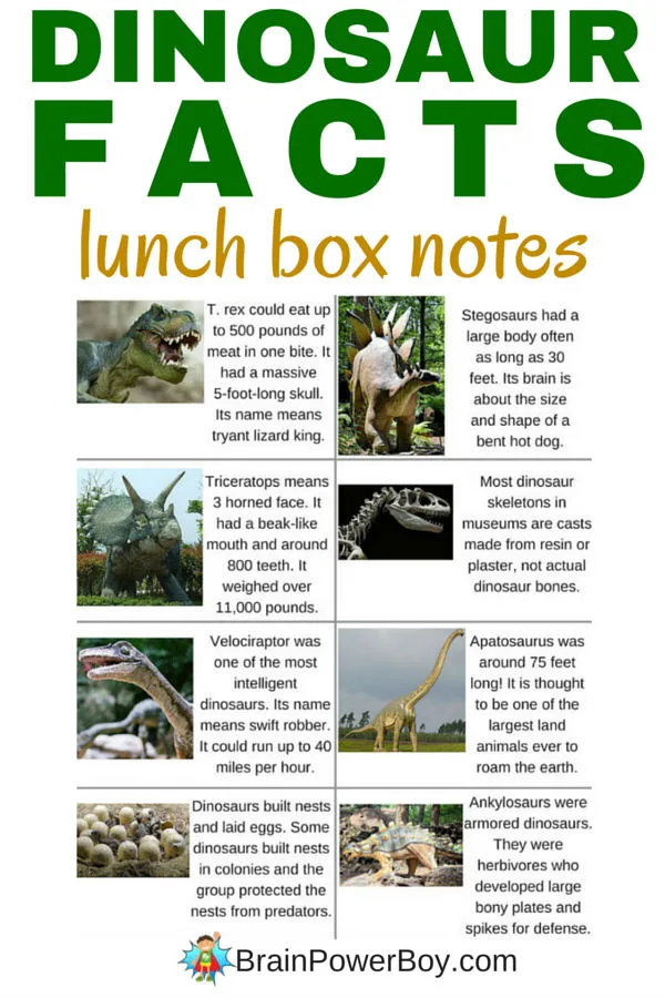Got a dinosaur fan? Print these free Dinosaur Facts Lunch Box notes and slip one into their lunch. They will love them! Part of a series of lunch box notes. Click image to go to the free printable.