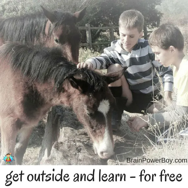 Save money homeschooling by using free zoos, wildlife sanctuaries and petting farms. Tips in this article on How to Rock Homeschooling with Only 100 Bucks! Click to read.