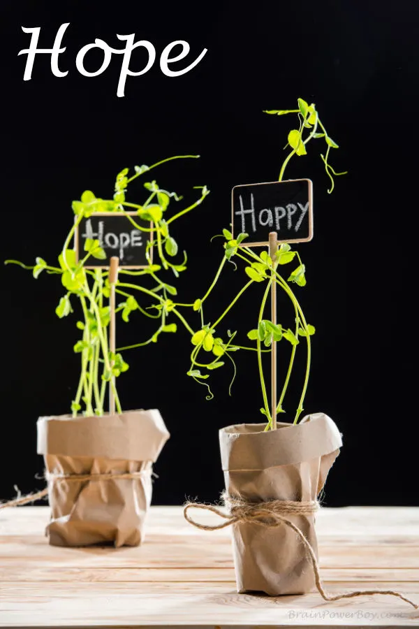 Plants with hope and happy markers