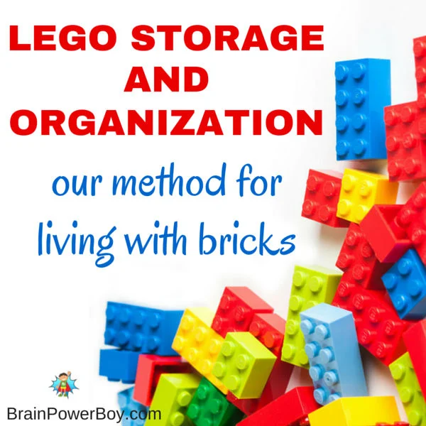 How to Organize LEGO Bricks - That Brick Life