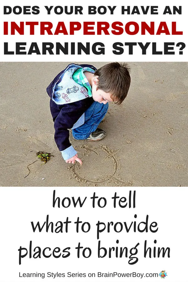 Does your boy have an Intrapersonal Learning Style? Find out in this article and see what you can provide to help him learn as well as places to bring him to honor his learning style.