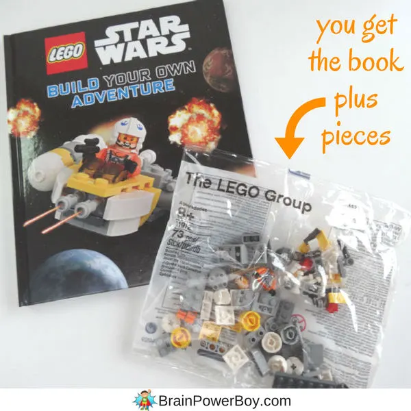 Get this DK LEGO Star Wars book! It comes with exclusive minifig and parts to build a starfighter too. (ad)