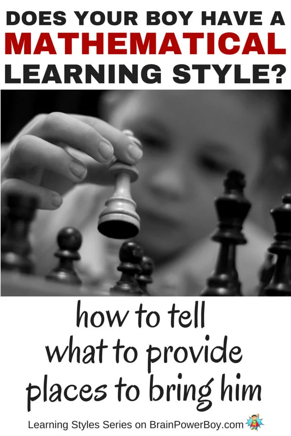 Do you want to help your boy learn? If so, take a look this series which delves into learning styles. Find out more about the Logical-Mathematical Learning Style, how to tell if your boy has it, what to provide him with, and places you can take him to honor the way he learns. You can help him! Click the picture to read more.