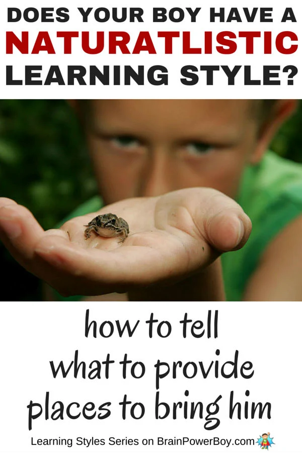 If you want to help your boy learn, take a look this series which delves into learning styles. Find out more about the Naturalistic Learning Style, how to tell if your boy has it, what to provide him with, and places you can take him to honor the way he learns. Click the picture to read more.