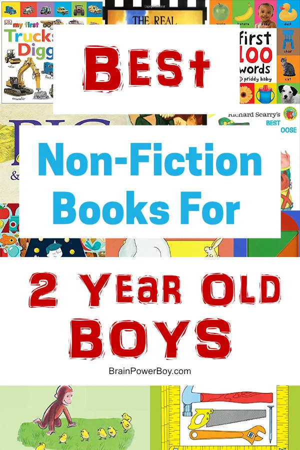 Non-fiction and concept books for 2 year old boys. If you need a gift or just want to get some great books for boys age two, this is the list you want to see!