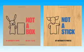 Not a Box and Not a Stick Book Reviews