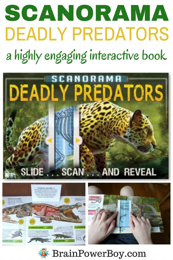 Don't miss the highly engaging interactive book Deadly Predators! Your kids are going to go crazy for the slide, scan and reveal. See all of the details by clicking now.