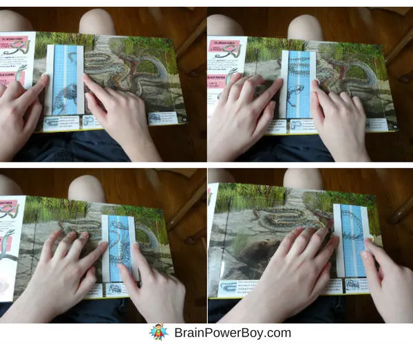 Slide, scan and reveal! What a neat interactive book we found. Take a peak by clicking through to learn more about Deadly Predators and the other titles in the Scanorama Series.