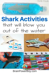 Shark Activities That Will Blow You Out of the Water