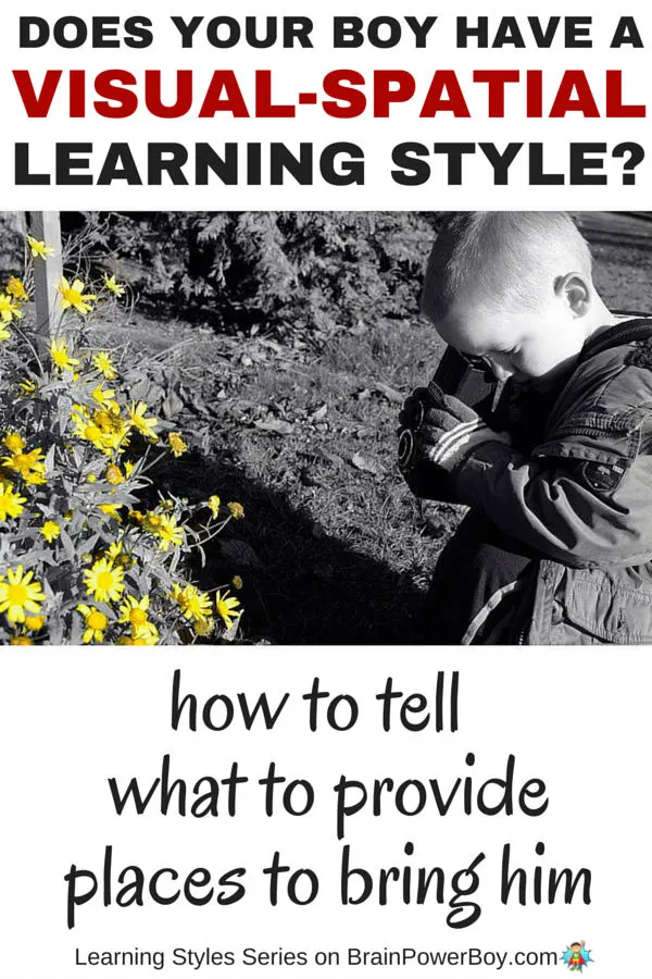 If you want to help your boy learn, take a look this series which delves into learning styles starting with information on the Visual-Spatial Learning Style. Find out if your boy has this learning style, what to provide him with, and places you can take him to honor the way he learns.