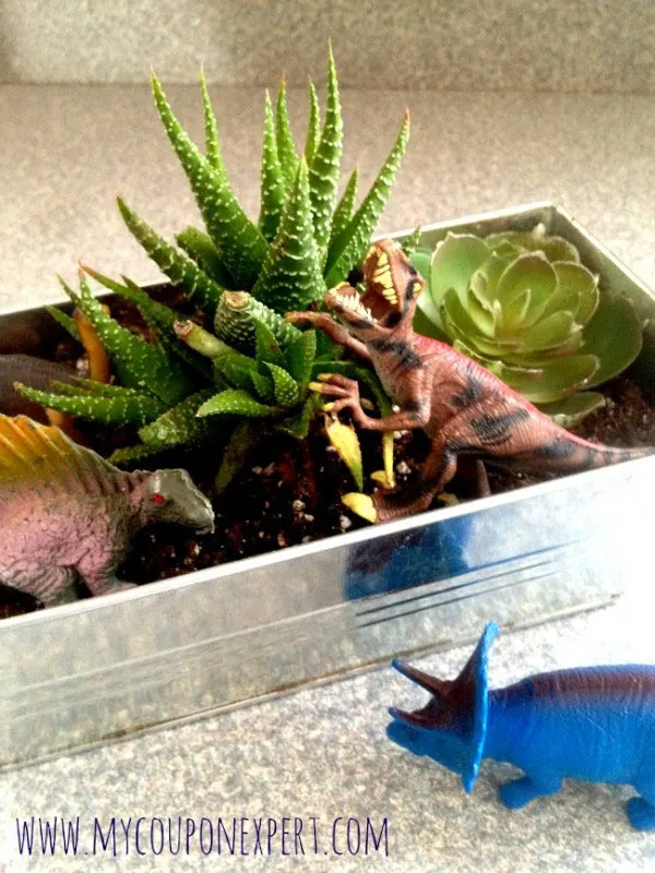 This container dinosaur garden is the perfect fairy garden for boys