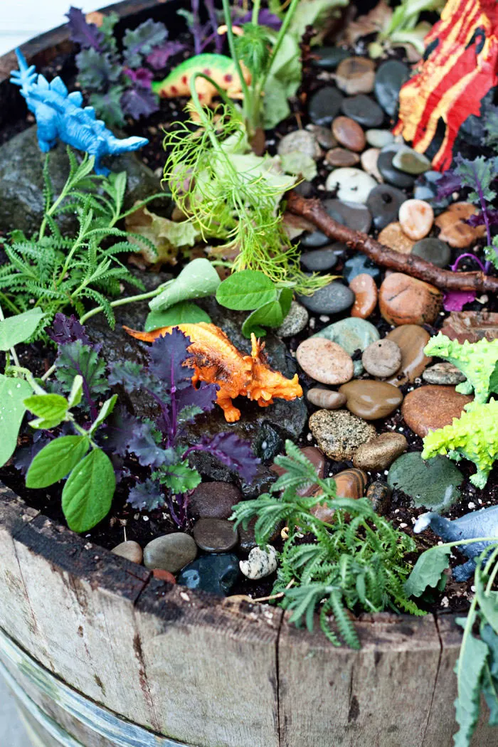 Dinosaur Garden with Herbs